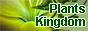 Plants Kingdom: Мир комнатных растений